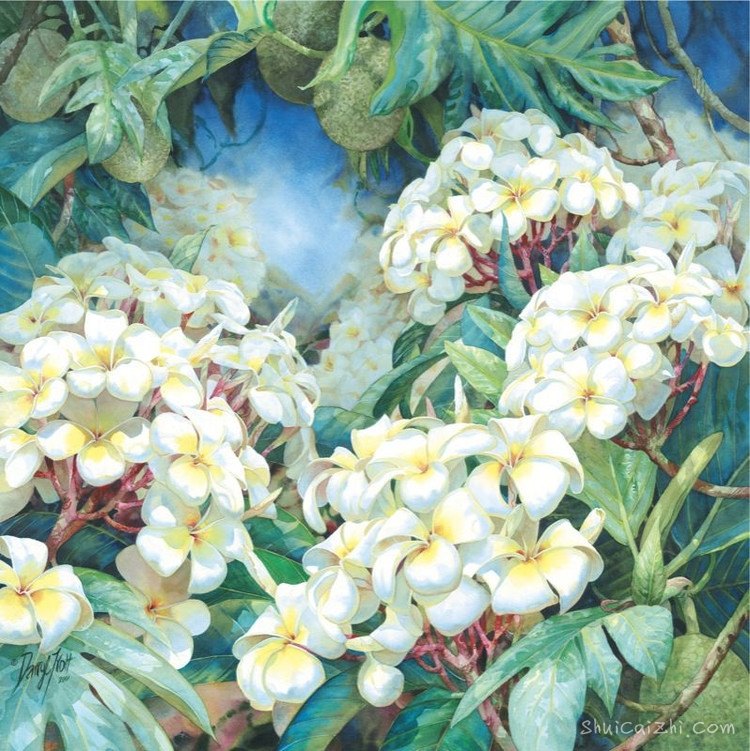 水彩画家达里尔特洛特Darryl Trott