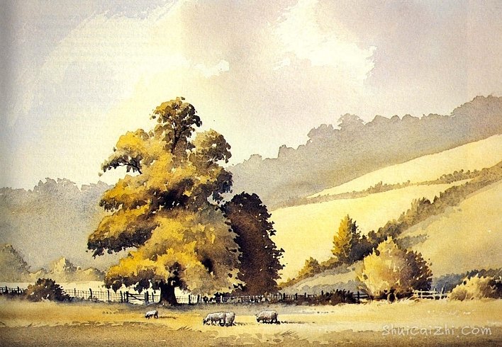 3f368d77a663b019b151b94b