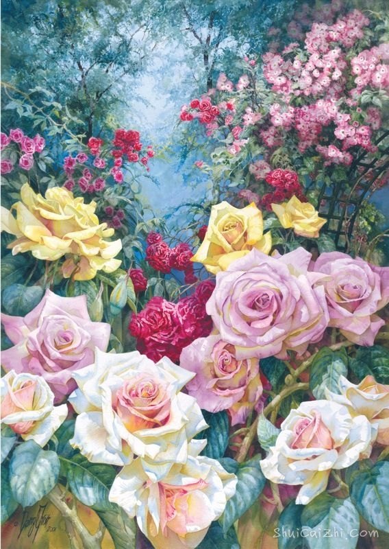 水彩画家达里尔特洛特Darryl Trott