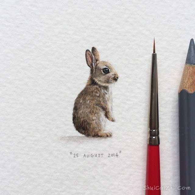 Lorraine Loots的小清新插画作品