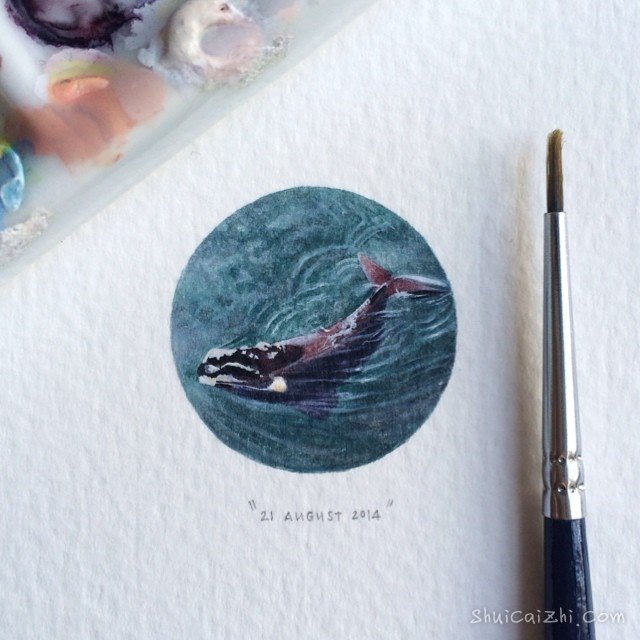 Lorraine Loots的小清新插画作品