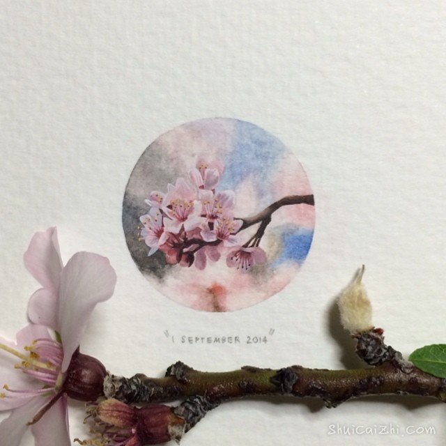 Lorraine Loots的小清新插画作品