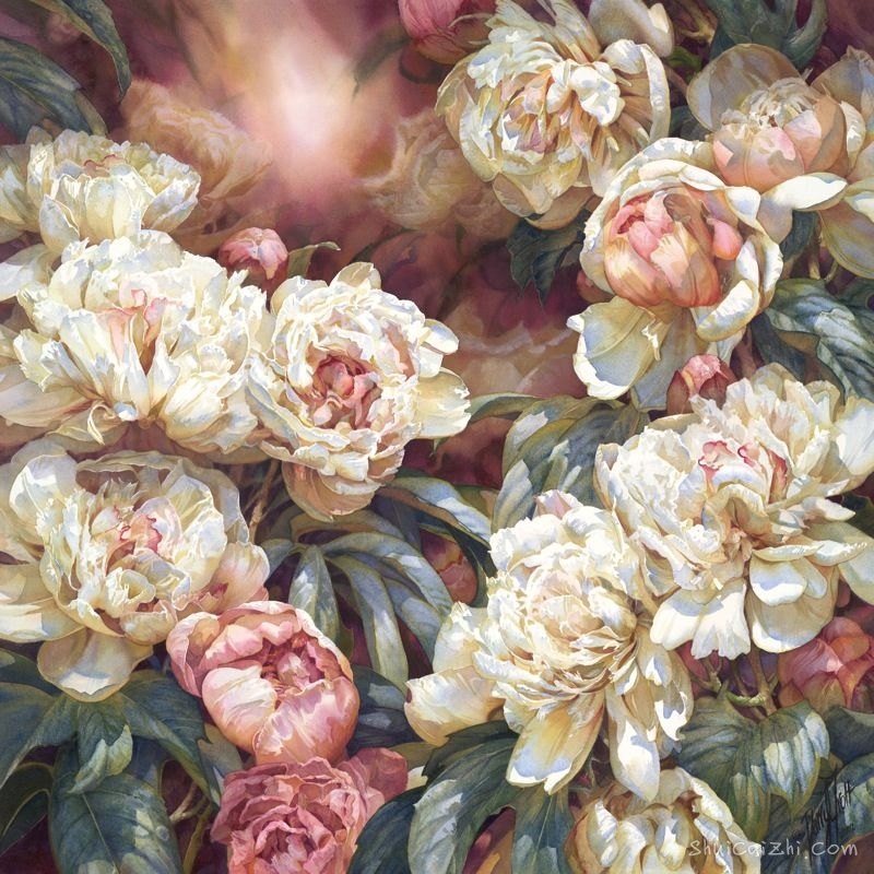 水彩画家达里尔特洛特Darryl Trott