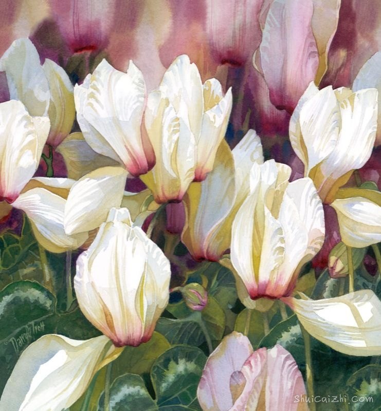 水彩画家达里尔特洛特Darryl Trott