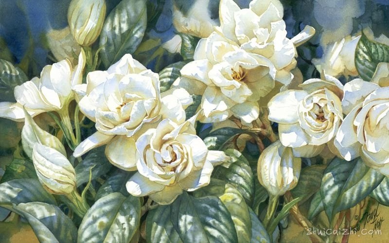 水彩画家达里尔特洛特Darryl Trott