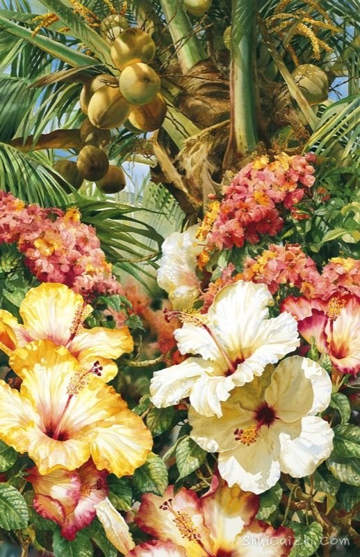 水彩画家达里尔特洛特Darryl Trott