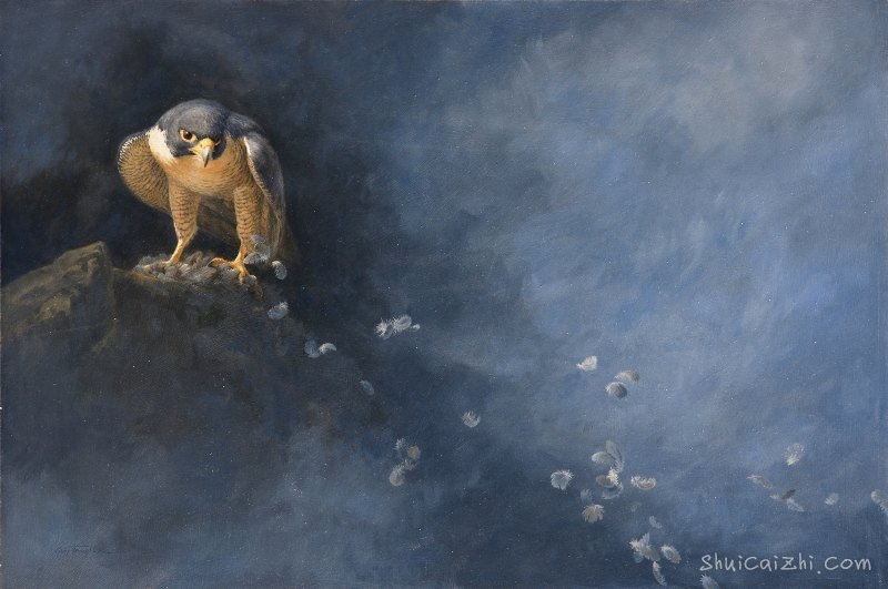 Guy Troughton自然类水彩作品7851