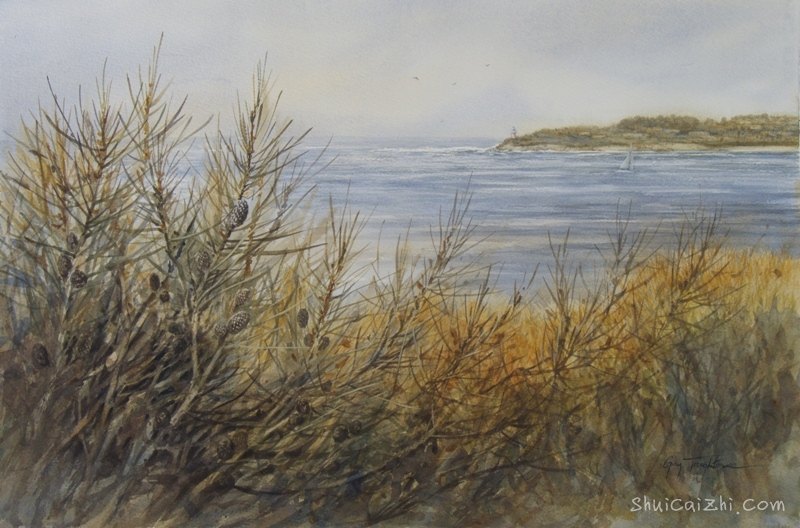 Guy Troughton自然类水彩作品8147