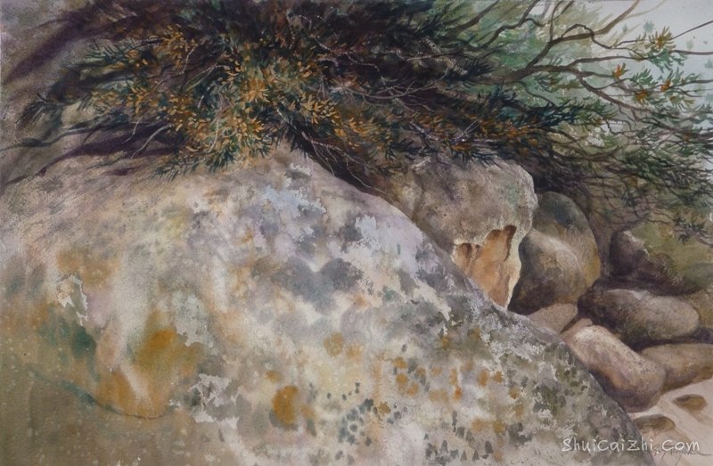 Guy Troughton自然类水彩作品8368