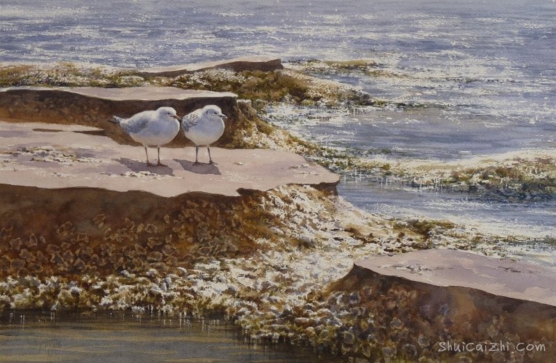 Guy Troughton自然类水彩作品8515