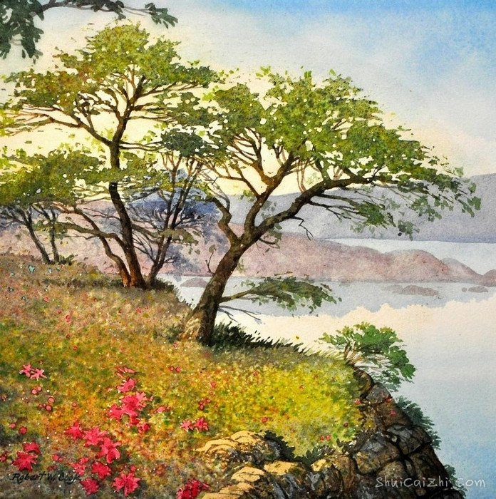 美国 Robert W. Cook 的风景画欣赏  4306