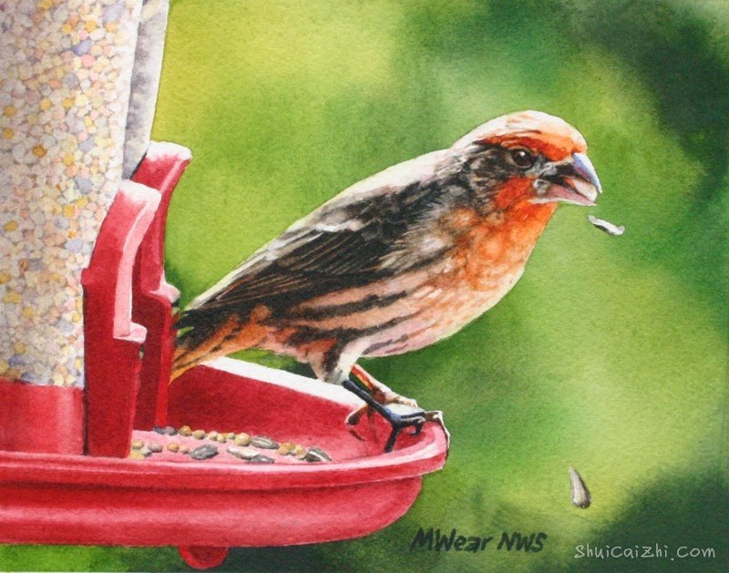 玛丽莲Wear自然动植物水彩作品