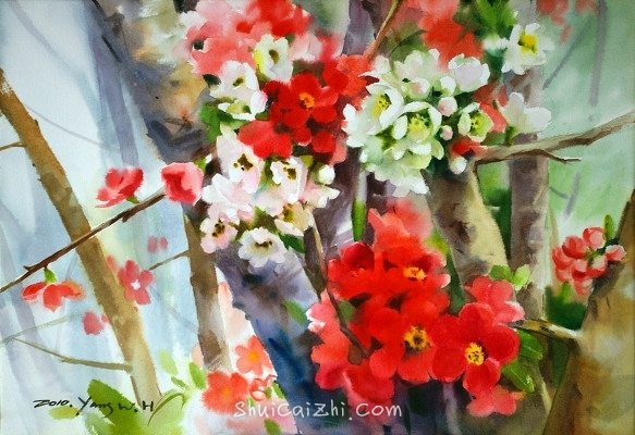 韩国Yang Won Hui水彩花卉作品2410459