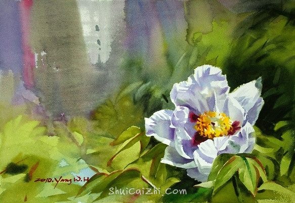 韩国Yang Won Hui水彩花卉作品2411035