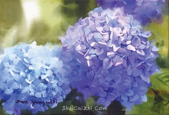 韩国Yang Won Hui水彩花卉作品2411093