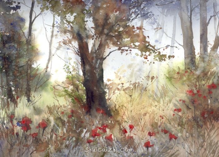 Malgorzata Szczecinska的自然风景花卉水彩画 2161696489