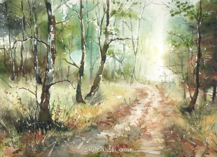 Malgorzata Szczecinska的自然风景花卉水彩画 2161697006