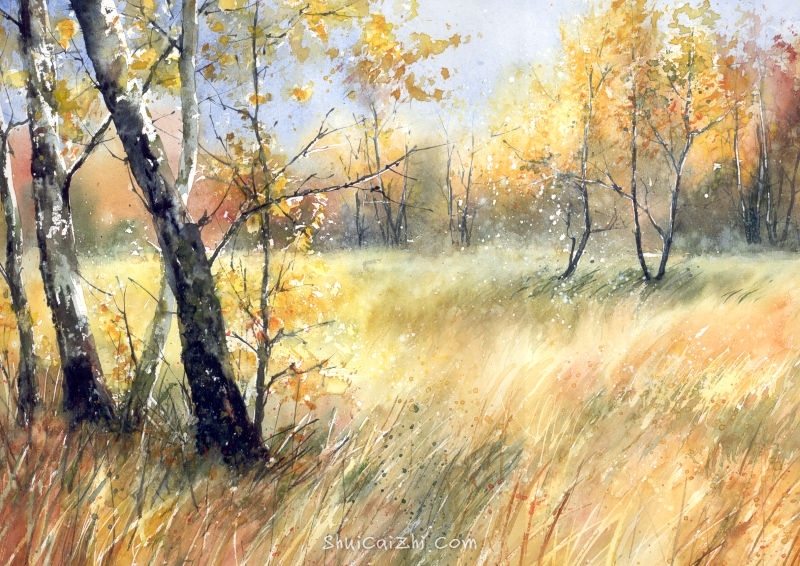 Malgorzata Szczecinska的自然风景花卉水彩画 2161697085