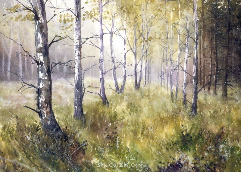 Malgorzata Szczecinska的自然风景花卉水彩画 2161697087