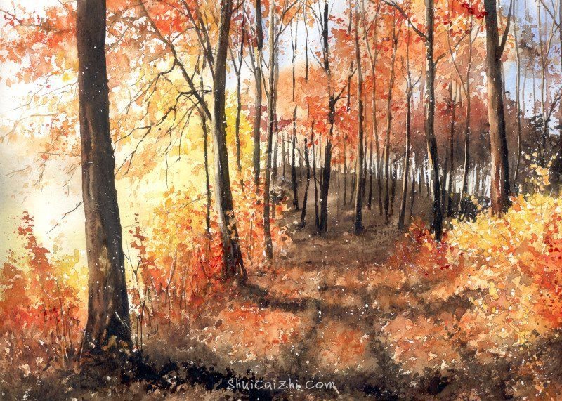 Malgorzata Szczecinska的自然风景花卉水彩画 2161697091