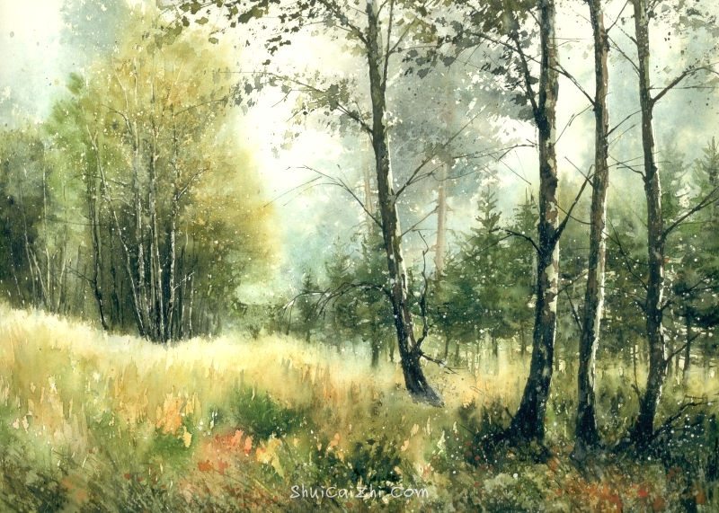 Malgorzata Szczecinska的自然风景花卉水彩画 2161697094