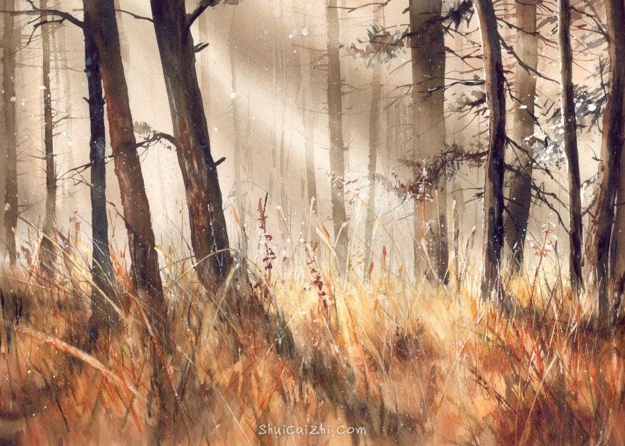 Malgorzata Szczecinska的自然风景花卉水彩画 2161699055