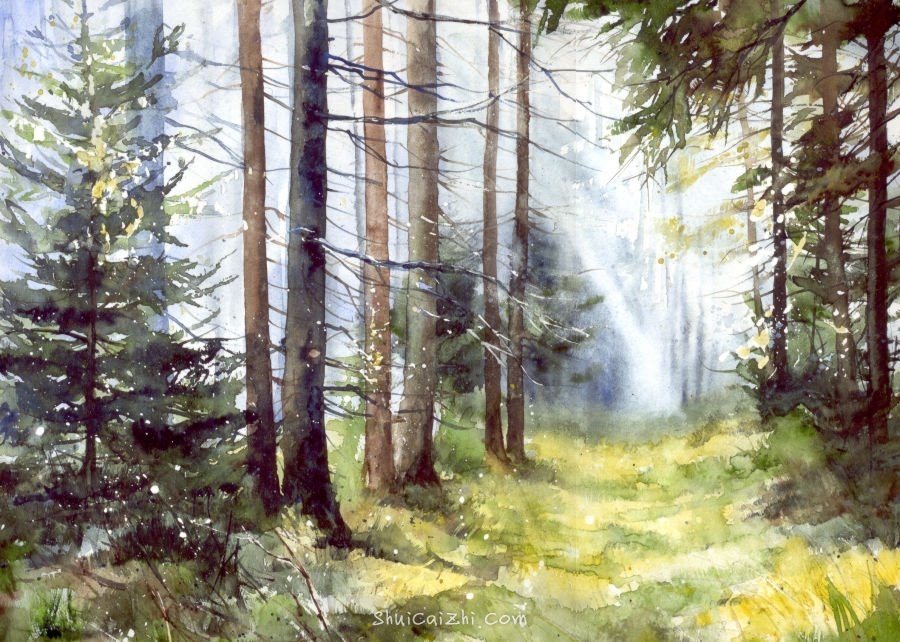 Malgorzata Szczecinska的自然风景花卉水彩画 2161706494