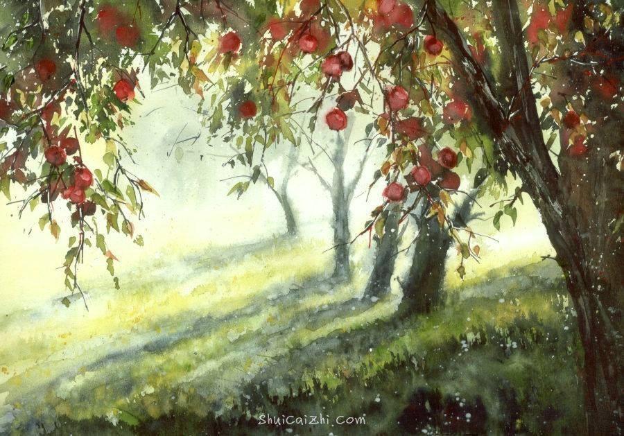 Malgorzata Szczecinska的自然风景花卉水彩画 2161706866