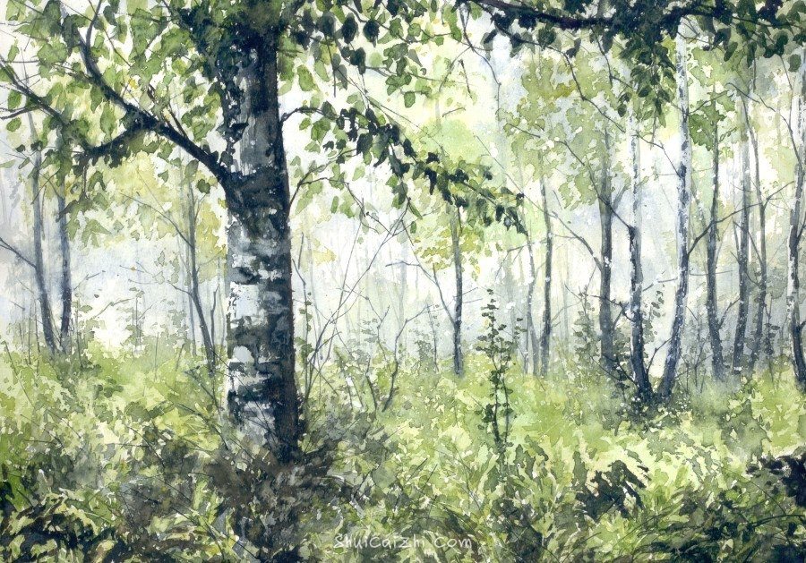 Malgorzata Szczecinska的自然风景花卉水彩画 2161706932