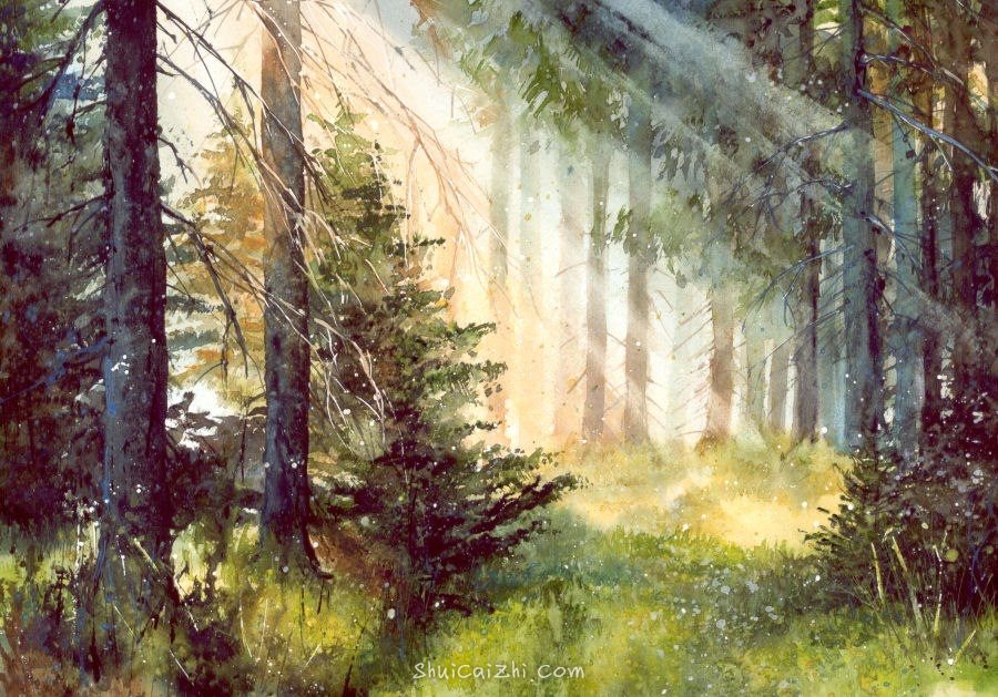 Malgorzata Szczecinska的自然风景花卉水彩画 2161707135