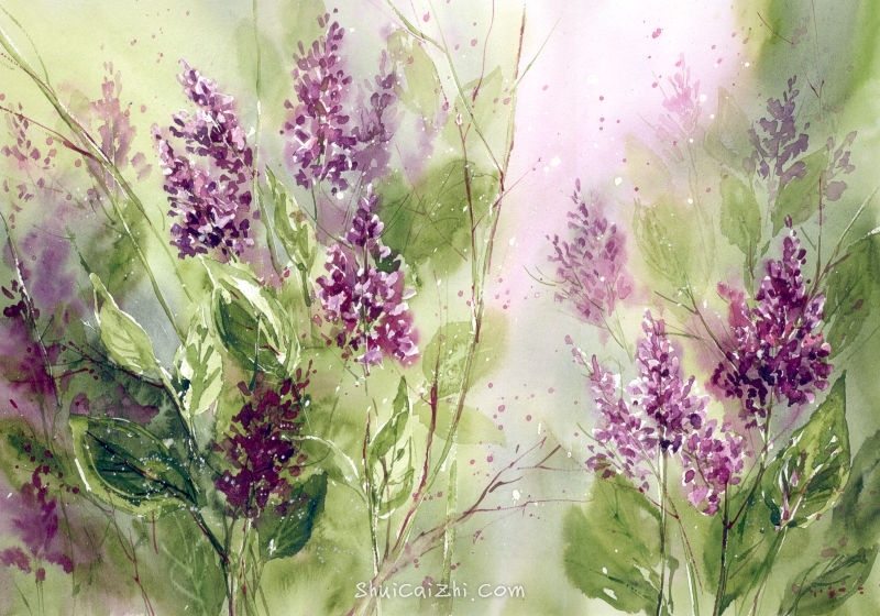 Malgorzata Szczecinska的自然风景花卉水彩画 2161711504