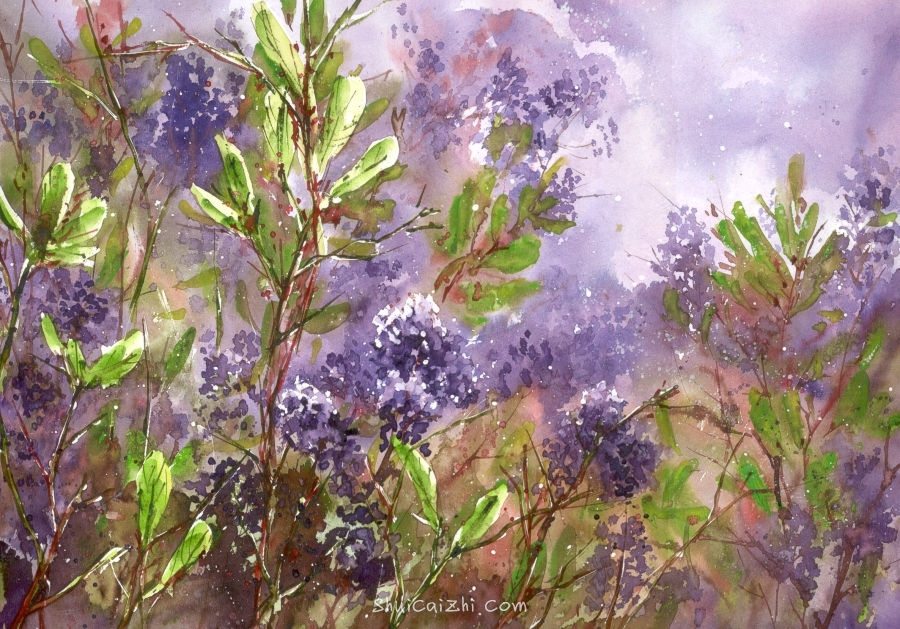 Malgorzata Szczecinska的自然风景花卉水彩画 2161711760