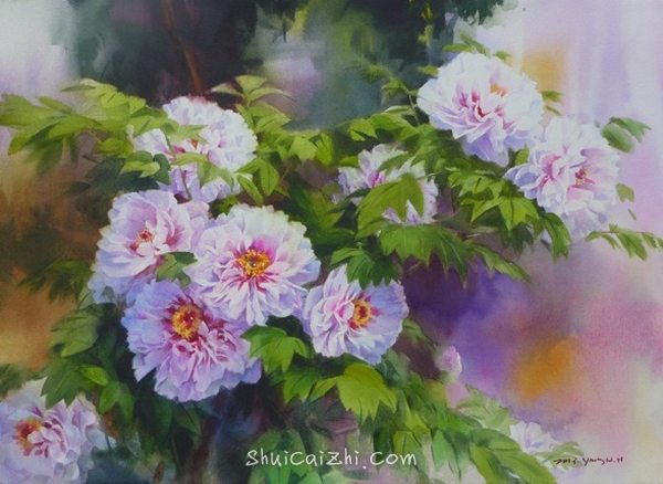 韩国Yang Won Hui水彩花卉作品996123