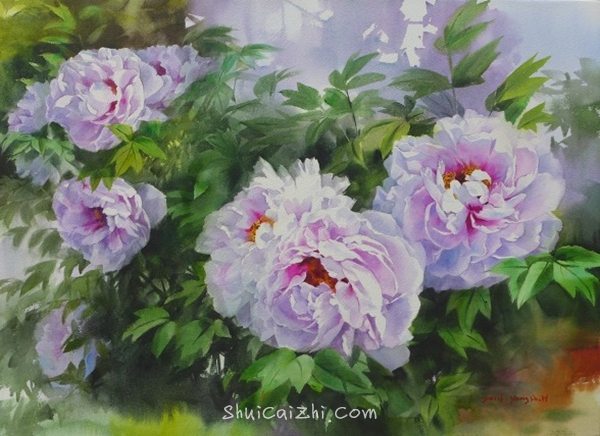 韩国Yang Won Hui水彩花卉作品996132