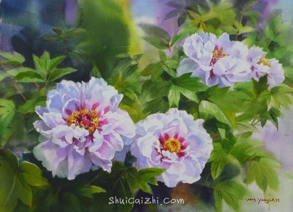 韩国Yang Won Hui水彩花卉作品996137