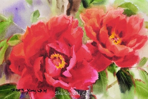 韩国Yang Won Hui水彩花卉作品996268