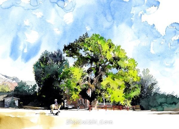 唐.韦勒 犹他牛仔系列作品