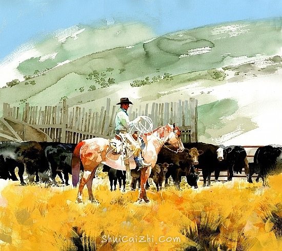 056323554a147d00000115a80d9f7a