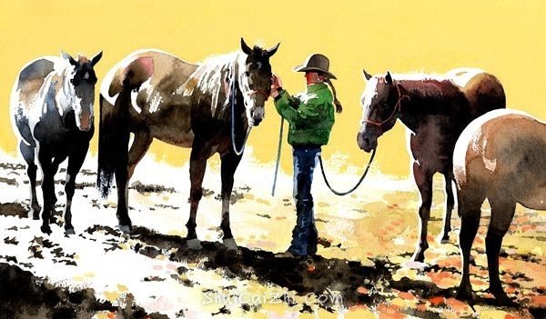 05c7f6554a147e00000115a8ef120f