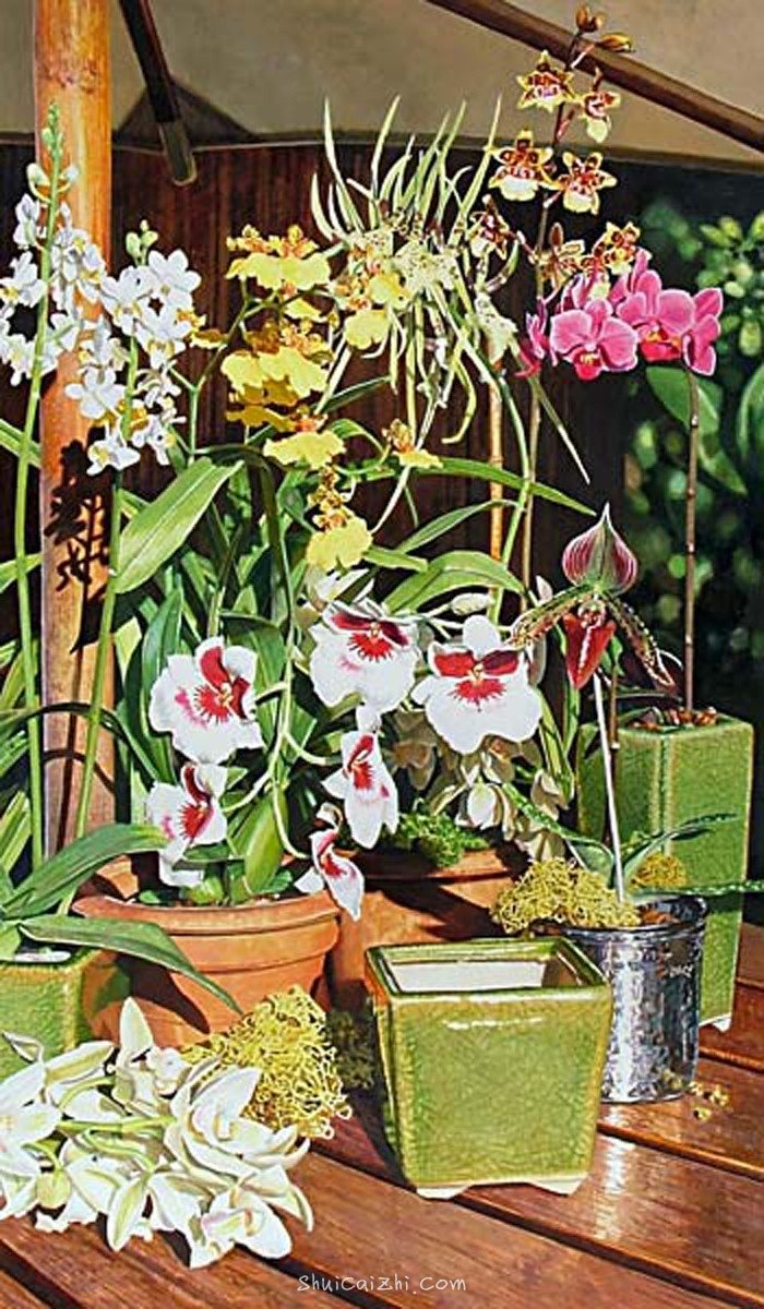 埃里克 克里斯坦森 52gMhH