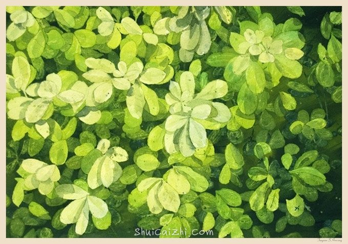 Jathedar的唯美风景水彩画 