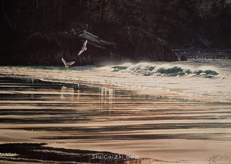 卡罗尔-埃文斯Carol Evans的水彩画