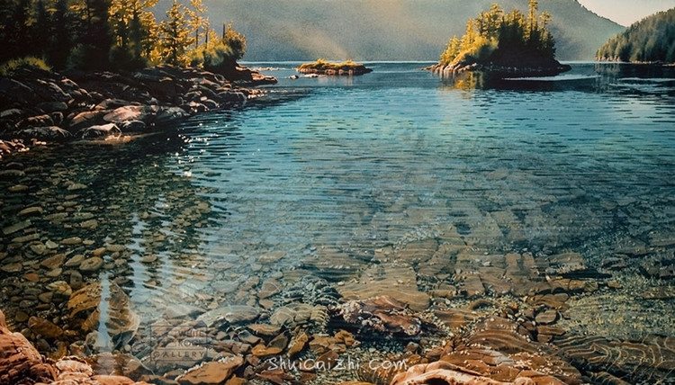 卡罗尔-埃文斯Carol Evans的水彩画