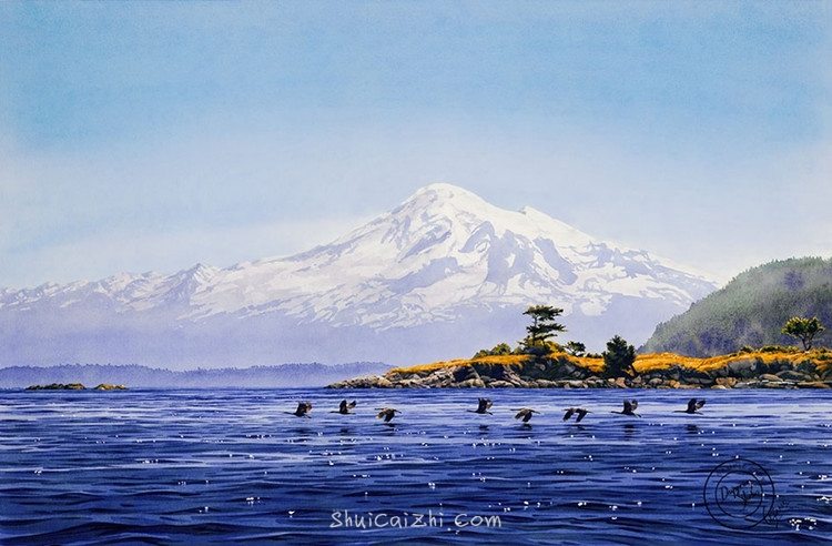 卡罗尔-埃文斯Carol Evans的水彩画