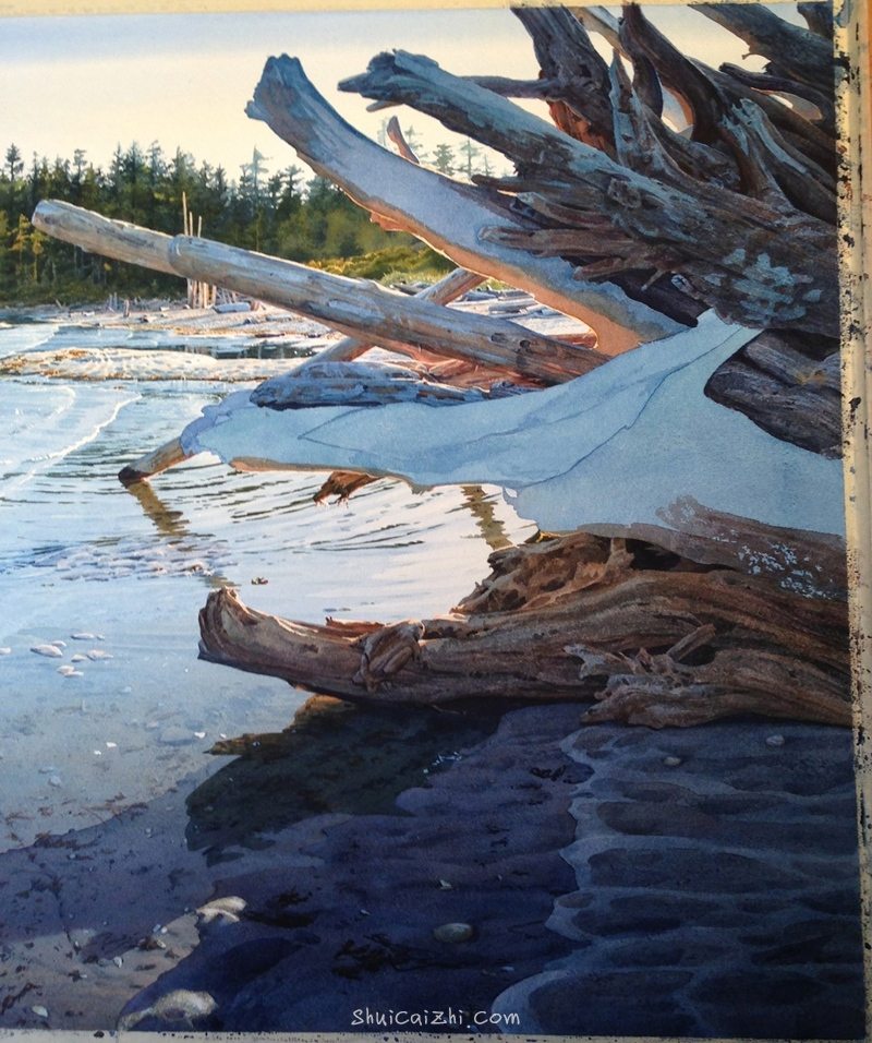 加拿大画家Carol Evans的海滩水彩绘画过程