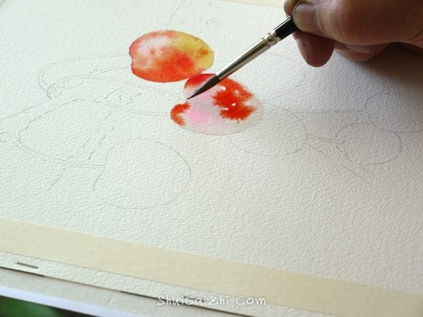 Joel Simon的水彩画樱桃绘画步骤 
