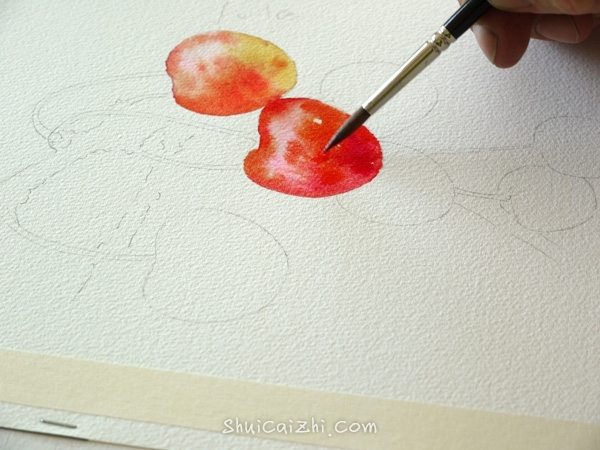 Joel Simon的水彩画樱桃绘画步骤 