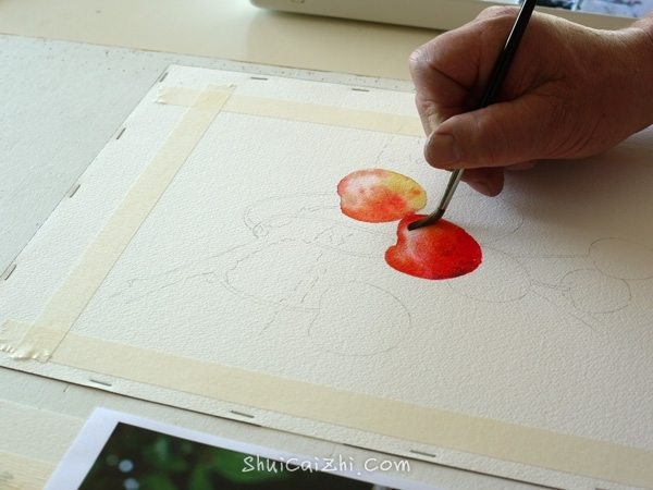 Joel Simon的水彩画樱桃绘画步骤 