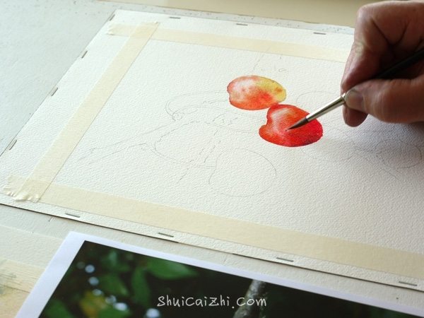 Joel Simon的水彩画樱桃绘画步骤 