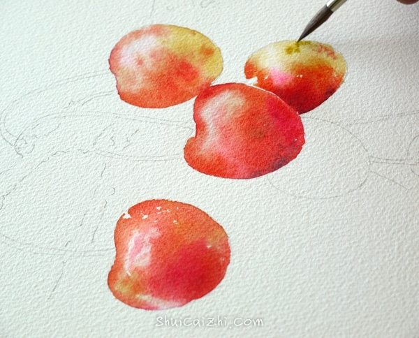 Joel Simon的水彩画樱桃绘画步骤 